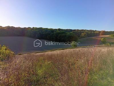 Terrain agricole - 10 469 m²