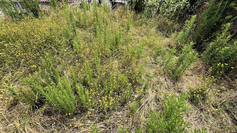 Maison de ville - 140 m² - 5 pièces