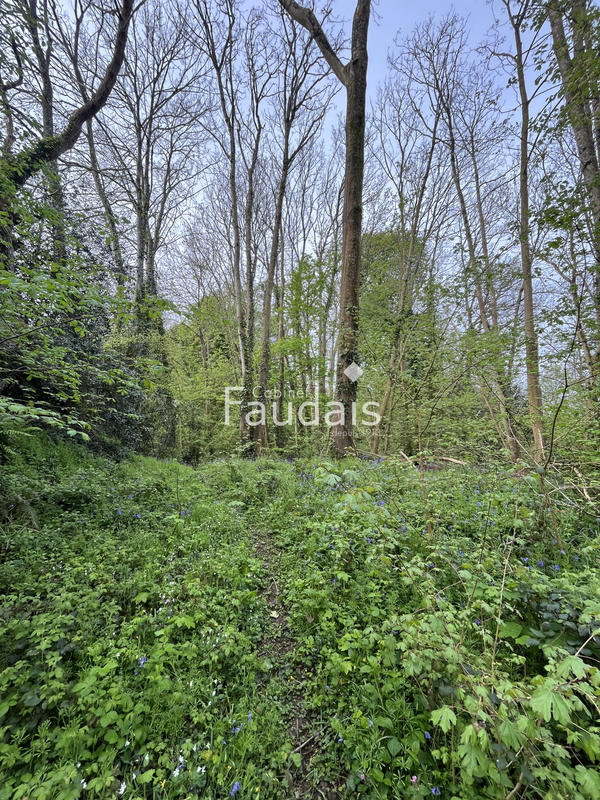 Terrain de loisirs - 3 747 m²