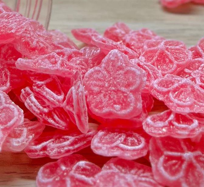 Chocolats &amp; Gourmandises pour les Fêtes de Fin d'Année