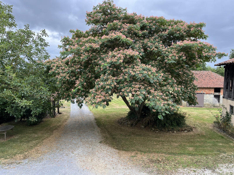 Ferme - 152 m² - 4 pièces