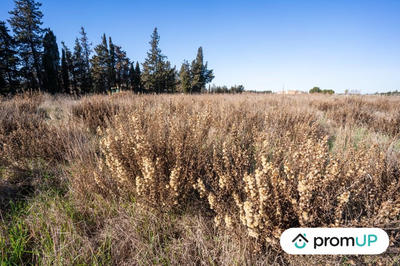 Terrain agricole - 3 200 m²