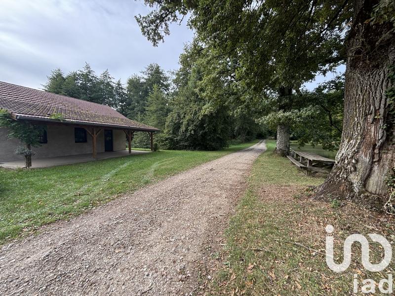 Terrain - 40 000 m²