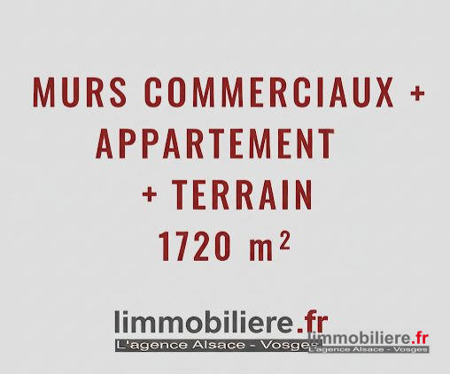 Local commercial - 439 m²
