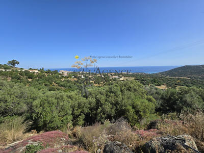 Terrain - 854 m²