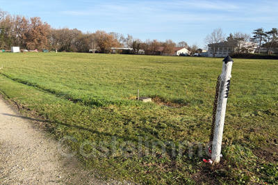 Terrain - 11 988 m²