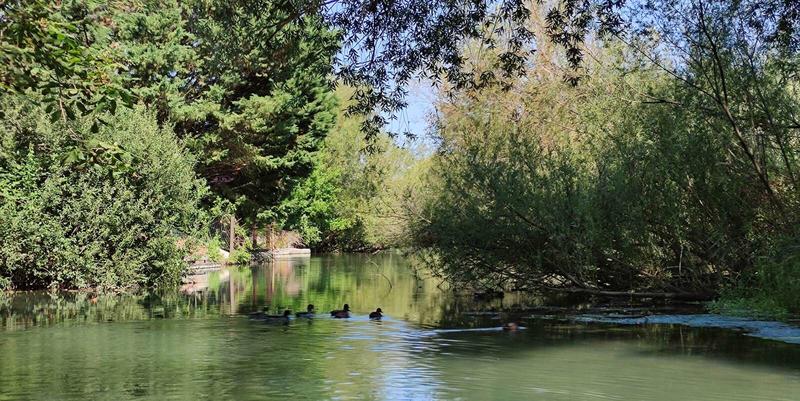 A la découverte du Giessen