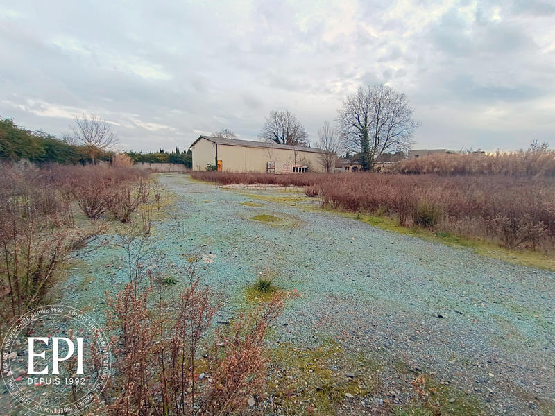 Local d'activités - 600 m²