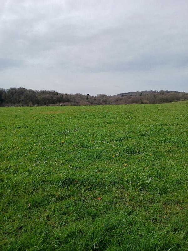 Propriété - 144 m² - 5 pièces