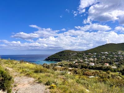 Terrain constructible - 927 m²