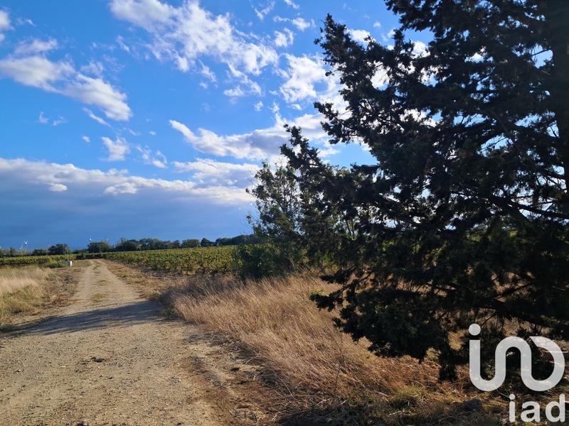 Terrain agricole - 29 000 m²