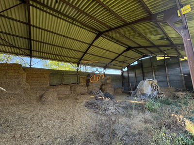 Maison - 510 m² - 3 pièces