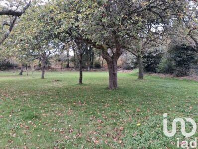 Maison - 300 m² - 1 pièce