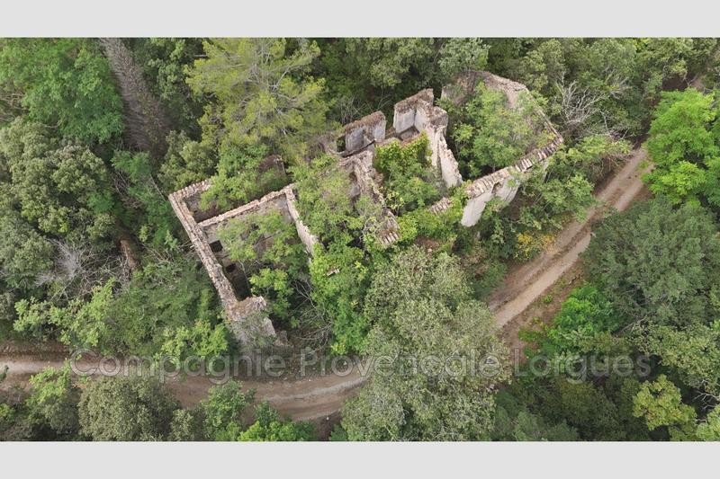 Propriété - 250 m² - 10 pièces