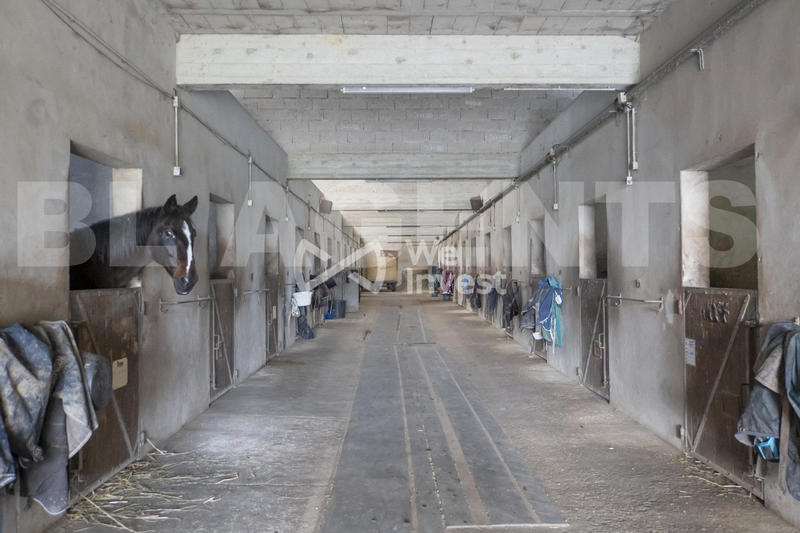 Maison - 220 m² - 9 pièces