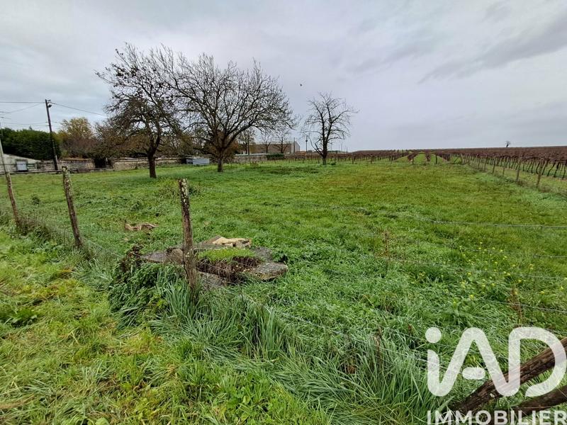 Maison - 202 m² - 5 pièces