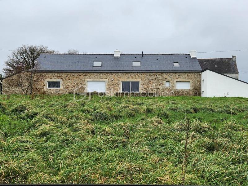 Maison en pierre - 160 m² - 6 pièces