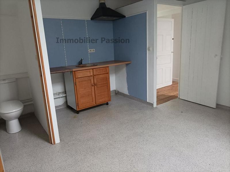 Maison ancienne - 318 m² - 15 pièces