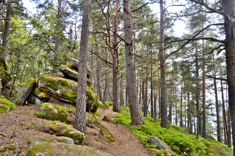 Balade ludique - le château du Hohnack