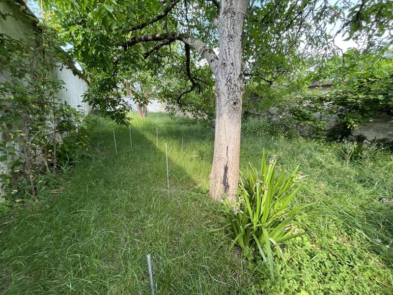 Maison ancienne - 152 m² - 7 pièces