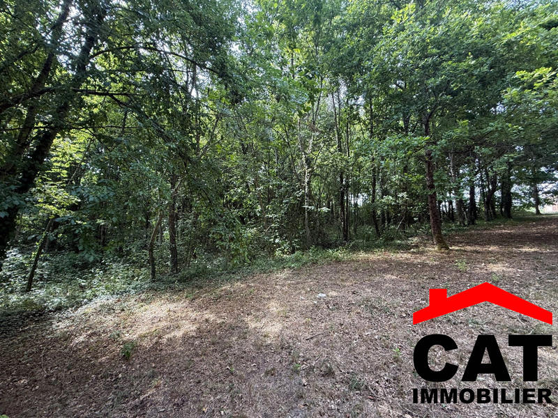 Terrain de loisirs - 3 785 m²