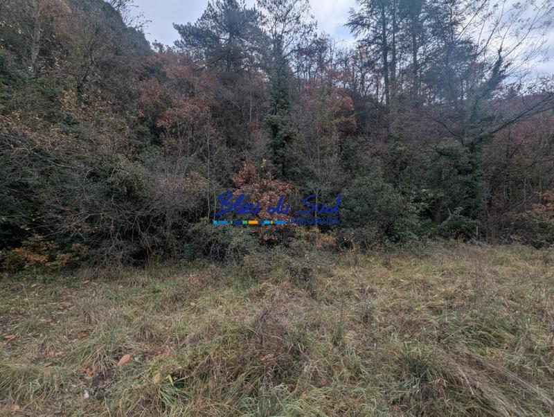 Terrain agricole - 9 160 m²