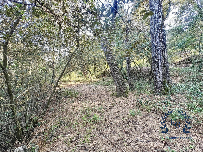 Terrain de loisirs - 20 020 m²