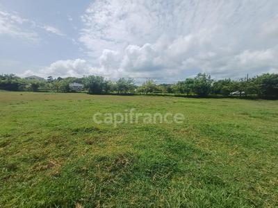 Terrain constructible - 1 000 m²