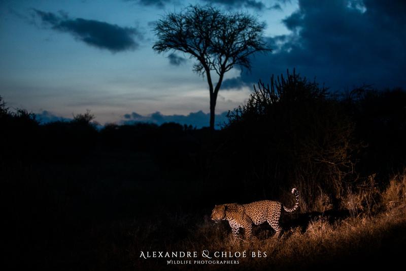 Exposition photos - au coeur de l'Afrique - Alexandre et Chloé Bès