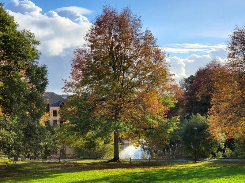 Appartement ancien - 80 m² - 4 pièces
