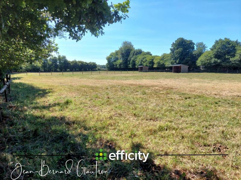 Maison de domaine équestre - 99 m² - 3 pièces