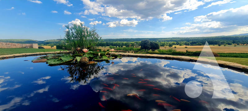 Château - 1 200 m² - 20 pièces