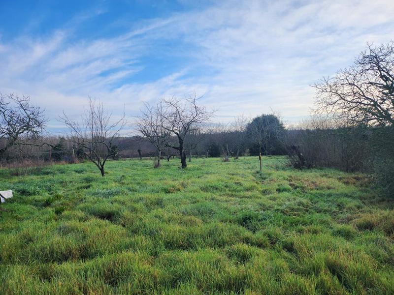 Terrain constructible - 1 646 m²