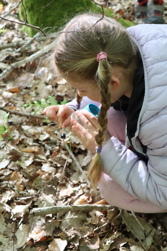 Stage nature de 3 jours "La disparition du Dr Cambium" 8-12 ans
