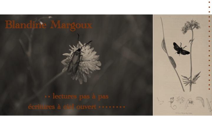 La curiosité est-elle un vilain défaut ? • Atelier d'écriture