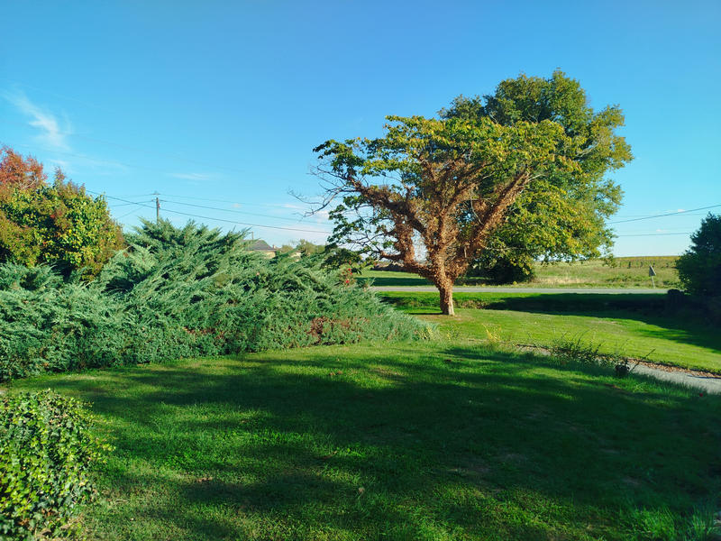 Maison - 3 105 m² - 6 pièces