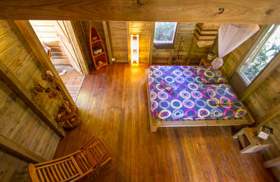 Au jardin des colibris