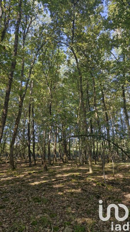 Ferme - 300 m² - 5 pièces