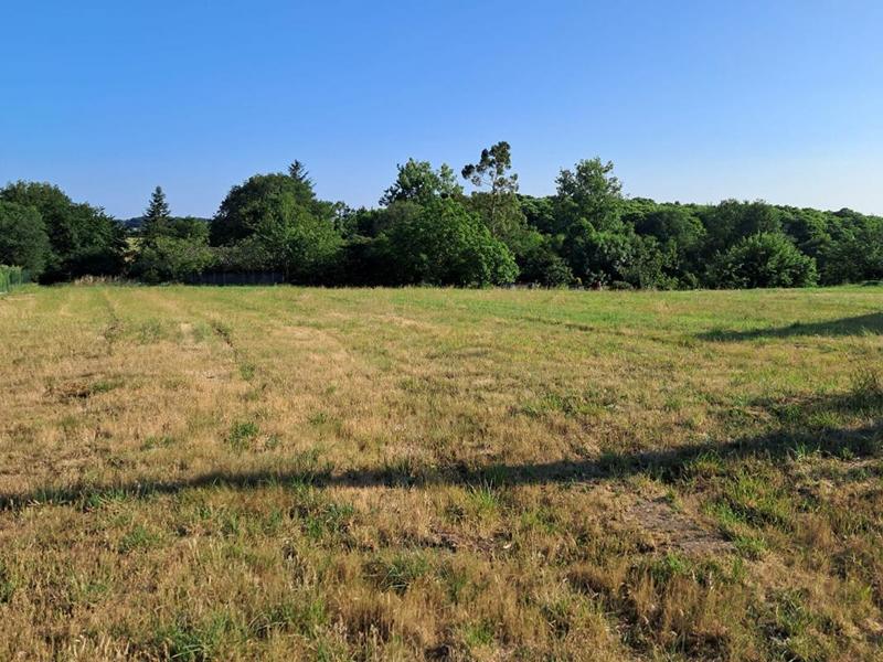 Terrain constructible - 1 923 m²
