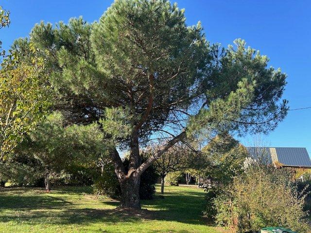 Maison de campagne - 135 m² - 6 pièces