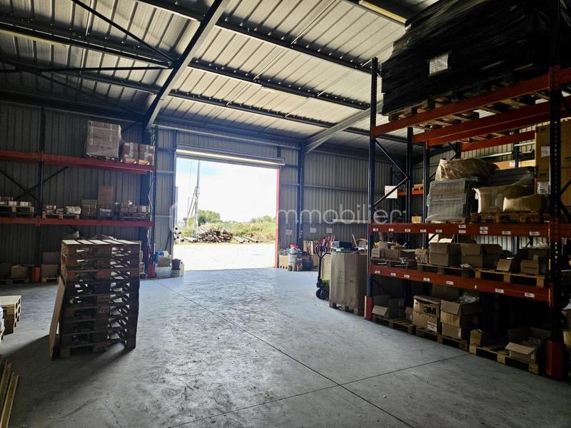 Local d'activité / Entrepôt - 354 m² - 3 pièces