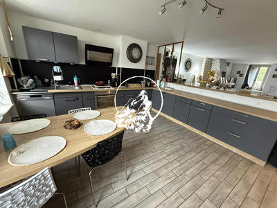 Maison - 297 m² - 9 pièces