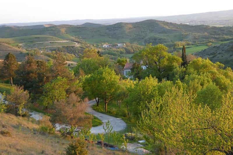 Terrain - 170 000 m²