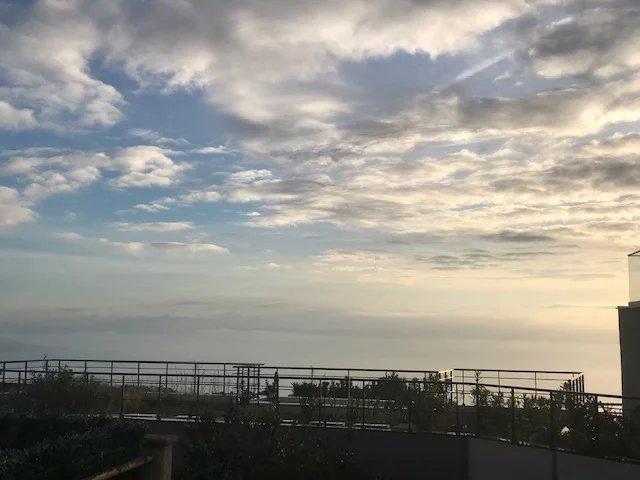 Appartement - 53 m² - 2 pièces