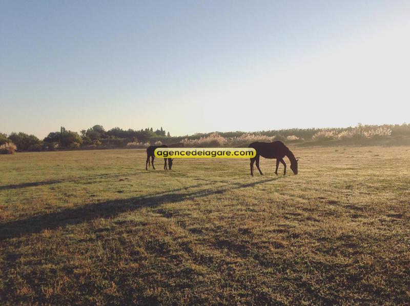 Propriété - 450 m² - 30 pièces