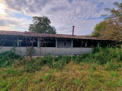 Terrain constructible - 12 000 m²