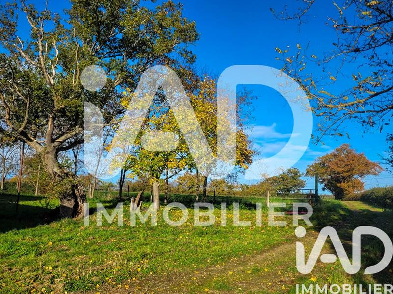 Maison - 317 m² - 8 pièces