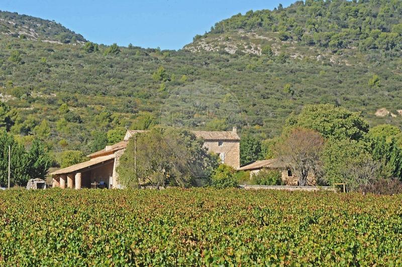 Maison - 494 m² - 12 pièces