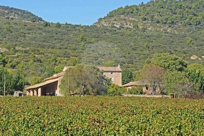 Maison - 494 m² - 12 pièces