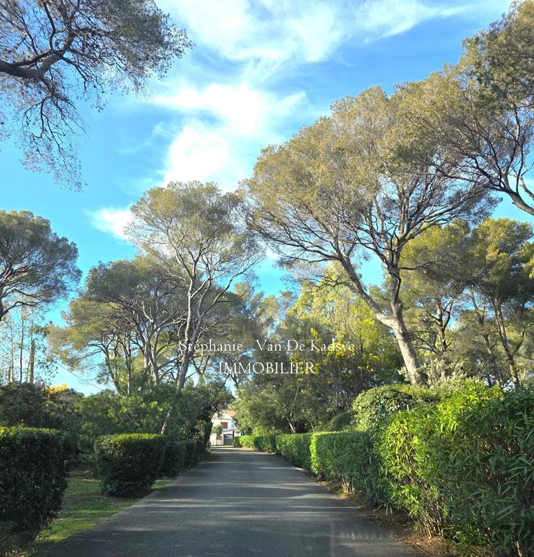 Appartement - 53 m² - 2 pièces